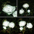 Solar Rose Garden Lights, 2 Pack Realistic Solar Flower Lights, Waterproof LED Decorative Stake Landscape Lights for Patio Pathway Grave Cemetery Outdoor Decor (White) by LoveNite