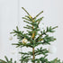 LIFKOME Bulbs 100pcs String Light Cover Star Shaped Fairy Lamp Shades Decorative String Light Covers Christmas Tree