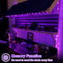 2 Pack 66ft 200 8 QITONG Solar Fairy Lights Outdoor Waterproof, Each LED Purple Christmas String Lights, Silver Wire
