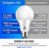 Energetic A19 LED Light Bulb, 100W Equivalent, Warm White 3000K, E26 Base, Non-Dimmable, 4-Pack