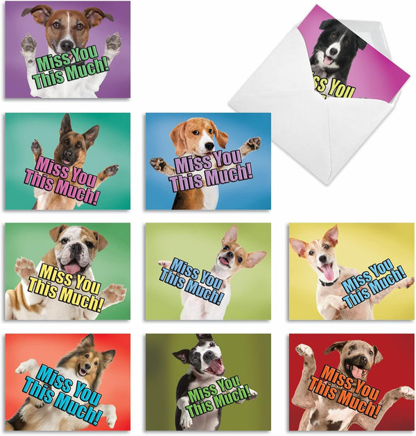 The Best Card Company - 10 Blank Assorted Notecards w/Envelopes, Boxed Greetings with Dogs