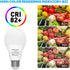 ORALUCE A19 LED Light Bulb, 60 Watt Equivalent, E26 Base, 6500K Cool White, 12 Pack