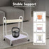 BGSHKAL 220.46 Lbs 4 2 Pedicure Cart Portable Trolley, Portable Esthetician Trolley Cart Pedicure Foot Rest Weight