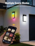 30 1500LM, IP65 2 Pack OIYN Smart Outdoor Wall Light, RGBWW LED Porch Light with Scene Modes, Waterproof, DIY