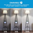 Edison LED Light Bulbs, 8Watt Dimmable, 5000K Daylight White, E26 LED Bulb 60watt Equivalent, 800lm, 6 Packs