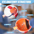6X Eye Anatomy Model, Enlarged Eyeball Model, Human Eye Anatomical Model for Science Education Students Study Display