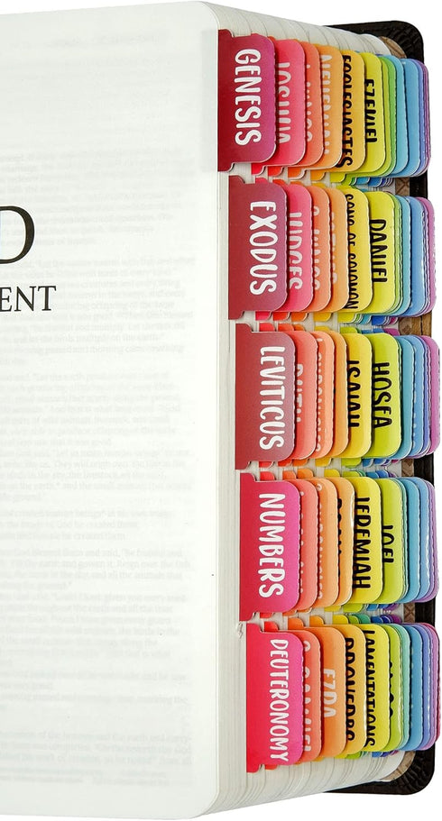Bible Tabs Large Print Laminated Dividers, Old and New Testament Rainbow