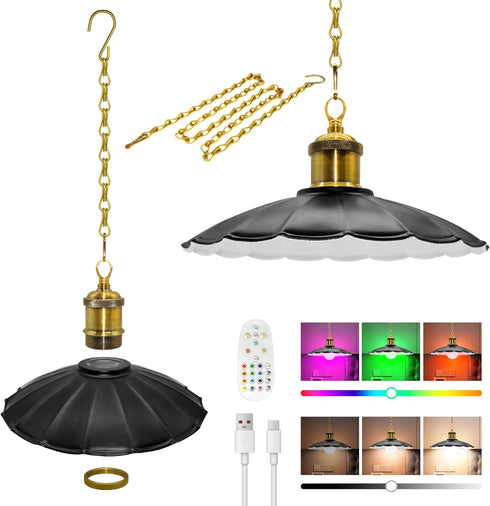 Puanticn Timing Battery Operated Chandelier, Rechargeable Battery Powered Pendant Light with Remote, 25x6cm