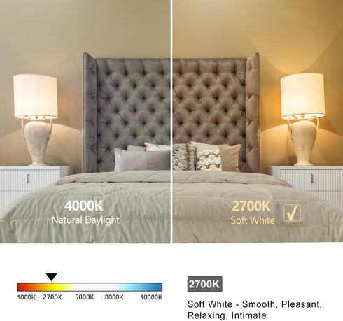 6 Dimmable Bulbs, 6W 60 2700K, Bulb, ST58 (ST19), 600 E26 PCS Vintage LED Edison Equivalent Watt, Warm White Antique
