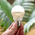 5V 6V Screw Medium Base LED Light Bulb for 5 Volt 6 Volt Battery Power Source, Warm White 3000K, Low Voltage Miniature