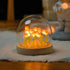 Hplvetoys Tulip Night Light LED Decoration Lamp,Glass Artificial Flower Bedroom Table Lamp (Pink)