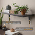 verkelly 10 5 6 Inch Pcs Shelf Brackets, x Black Heavy Duty Metal Wall Corner Angle Shelving for Wall Hanging Shelves