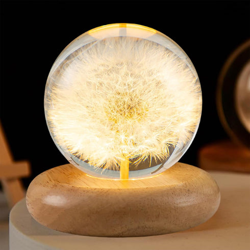 Pletmin Dandelion Ball Night Light, 2.76 inch Ball Night Lamp with Wooden Base,
