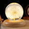 Pletmin Dandelion Ball Night Light, 2.76 inch Ball Night Lamp with Wooden Base,