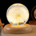 Pletmin Dandelion Ball Night Light, 2.76 inch Ball Night Lamp with Wooden Base,