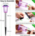 DenicMic 10 Pack Solar Lights Outdoor Waterproof Purple LED Stainless Steel Stake Outside Lights for Yard Pathway