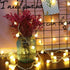 65.6ft 150 16ft 8 IP44 RaThun Warm White Globe String Lights, LED with Extended Lead Wire & Remote, Modes, Waterproof