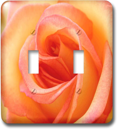 3dRose lsp_1225_2 Peach Rose Double Toggle Switch