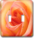 3dRose lsp_1225_2 Peach Rose Double Toggle Switch