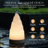 3D Dimmable SECOWEL Printing Night Light for Bedroom, Small Lamp for Nightstand, Novelty Bamboo Shoots Lampshade