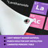 Bigtime Signs 2025 Periodic Table with Real Elements Inside - 35" x 54" Chemistry Poster (All 118 Elements)