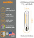Sunlite LED Vintage T10 2W Light Bulb Medium (E26) Base, Warm White by Sunlite