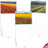 The Best Card Company - 20 Landscape Nature Note Cards Blank (4 x 5.12 Inch) - Super Blooms AM7175OCB-B2x10