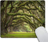 Smooffly Custom Gaming Mouse Pad, Oaks Avenue Charleston SC Live Oak Trees, Non-Slip Rubber Rectangle for Computers