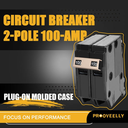 New Upgrade 2100 2-Pole 100-Amp Circuit Breaker, 3/4-Inch Plug-On Molded Case Circuit Breaker, Thermal Magnetic Protection, 100 Amp 10 KAIC, 120/240V