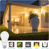 Dusk to Dawn E26 LED Bulbs, 9W (60W Equivalent), 825LM, 2700K Soft White, Auto On/Off, 4-Pack for Outdoor Lighting