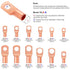 Weewooday Copper Battery Cable Ends 12 Sizes Battery Terminal Connectors Copper Lug Ring Terminal Battery Wire Lugs Eyelets Tubular for AWG4, AWG6, AWG8, AWG10, AWG12(Mixed Sizes, 170 Pieces)