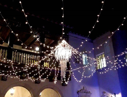 34FT 100 Commercial Christmas Lights by Novelty Lights, Indoor/Outdoor Mini Lights (White Wire)