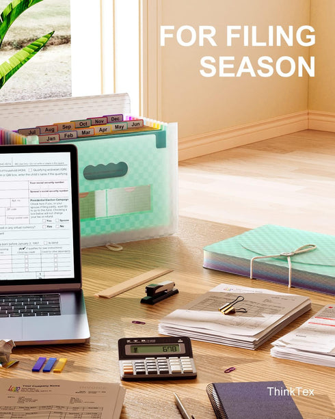 ThinkTex 12 Pockets Accordian File Organizer, Portable Monthly Bill Receipt Holder, Letter/A4 Size - Green