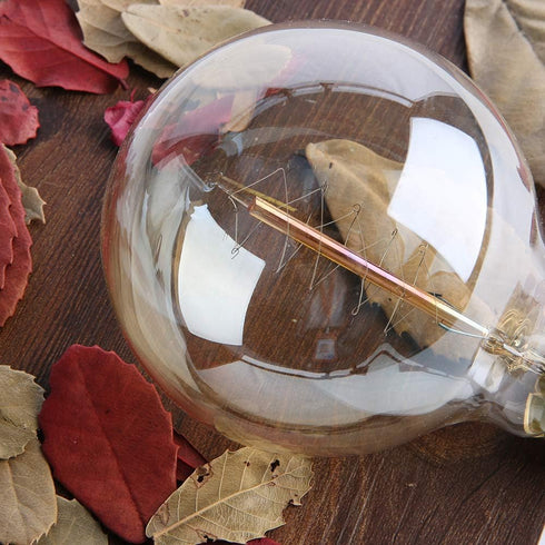 New Lights G25 Bulb, 60W Bulb, Bulb, Dimmable Bulbs, 2100K White,E26, 6 Pack Globe Edison Light Vintage Round Edison