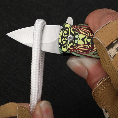 Small Pocket Knife, EDC Folding Knife with Stainless Steel