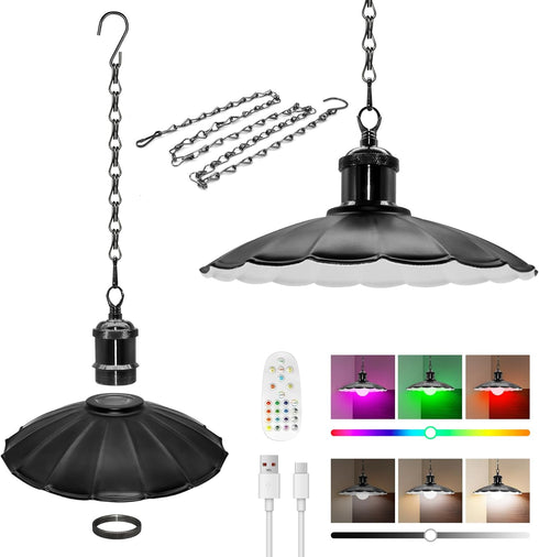 Puanticn Rechargeable Battery Operated Hanging Light, Dimmable Pendant Light with Remote, 25x6cm Detachable