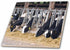 3dRose WA, Ebeys Landing Reserve, Whidbey Island Dairy Cows - US48 TDR0743
