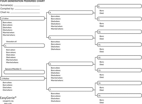 LARGE PRINT Genealogy Charts and Forms Kit, 30 Sheets, Includes 10 Pedigree Charts, 10 Fan Charts, 10 Family Group