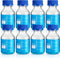 Irenare 8 Pieces Media Storage Bottles, Borosilicate Glass with Blue GL45 Screw Cap for Lab Liquids, 250 ml