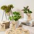 Yopyame 200Pcs Baby Shower Seed Saving Envelopes Resealable Small Brown Self Adhesive Kraft Paper for Party Favors