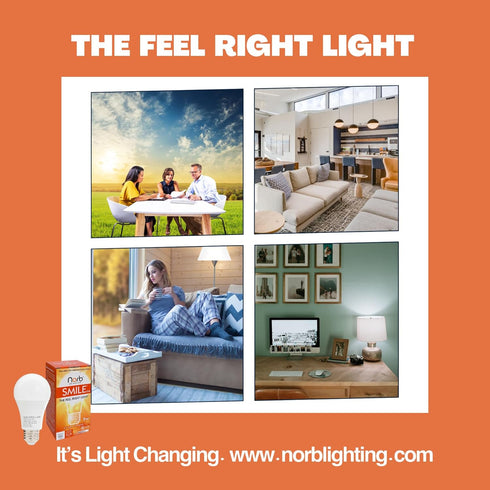 NorbSMILE Full Spectrum Sun Light Bulb, A19 9W, Boosts Energy & Mood, Imitate Sunlight Indoors, 1-Pack