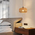 SHIWEIDA 15ft 15FT Industrial Pendant Light Cord -Plug in Hanging Light Fixture, Farmhouse Pendant Lamp Lights