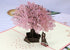 PENTA ANGEL Handmade Cherry Blossom 3D Pop Up Card for Romantic Love Letter, Wedding, Birthday Gift
