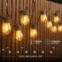 25FT Bulbs, Commercial addlon LED Outdoor String Lights with Edison Shatterproof Heavy-Duty and Weatherproof Strand