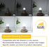 Dimmable 3W LED Bulb, 25 Watt Equivalent, Daylight 5000K, E26 Medium Base, Frosted, 300 Lumens, CRI 90+, G40, 4-Pack