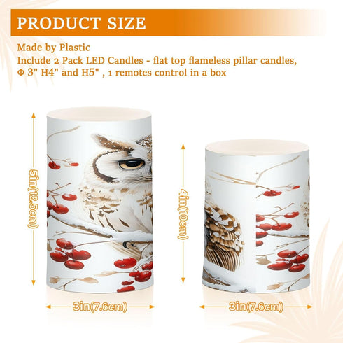 LFICRTAN 2 Pack Owl Sitting Snow Covered Branch Flameless Candles Battery Operated Color Changing LED Candles