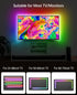 Backlight,13.1ft 40-65 inch Daymeet TV Led ICRGB LED Lights for TV USB Light Strip for Monitor Behind Lighting, Rainbow