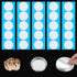 50pcs Synthetic Filter Paper Stickers, 84mm Diameter Adhesive Filter Discs for Mushroom Cultivation, 0.3 µm