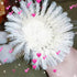 NewFerU Stainless Steel Soda Bottle Cleaning Brush in Natural Boar Bristle Wool Tip, Long Handle, Flexible Bendable