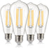 ALAMPEVER ST19 Dusk to Dawn LED Outdoor Light Bulb, 1400LM Sunlight Sensor